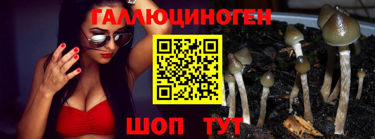 Нерюнгри  Галлюциногенные грибы ЛСД  наркошоп  Вход с VPN 